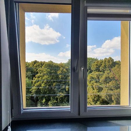 Forest House Дембіца Екстер'єр фото